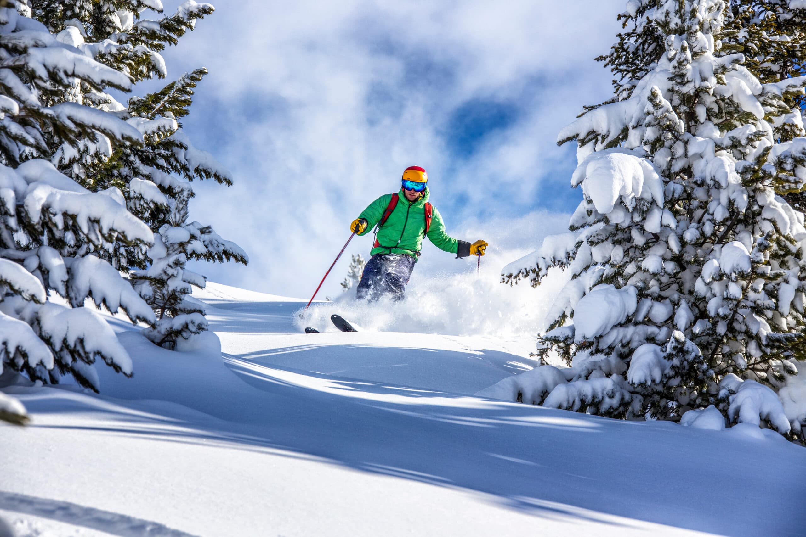 Skier carving through deep powder snow between snow-covered pine trees