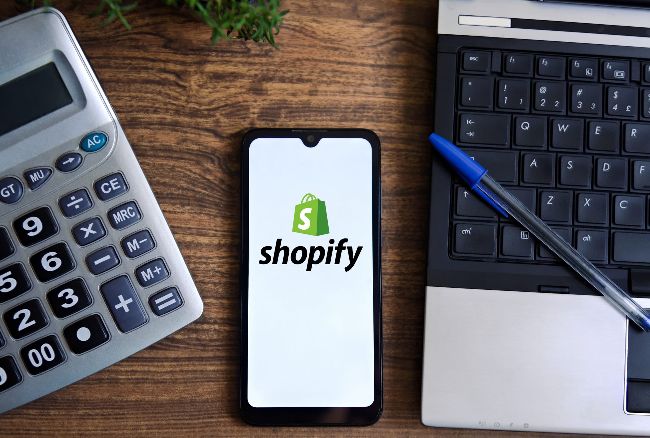 shopify mobile mockup